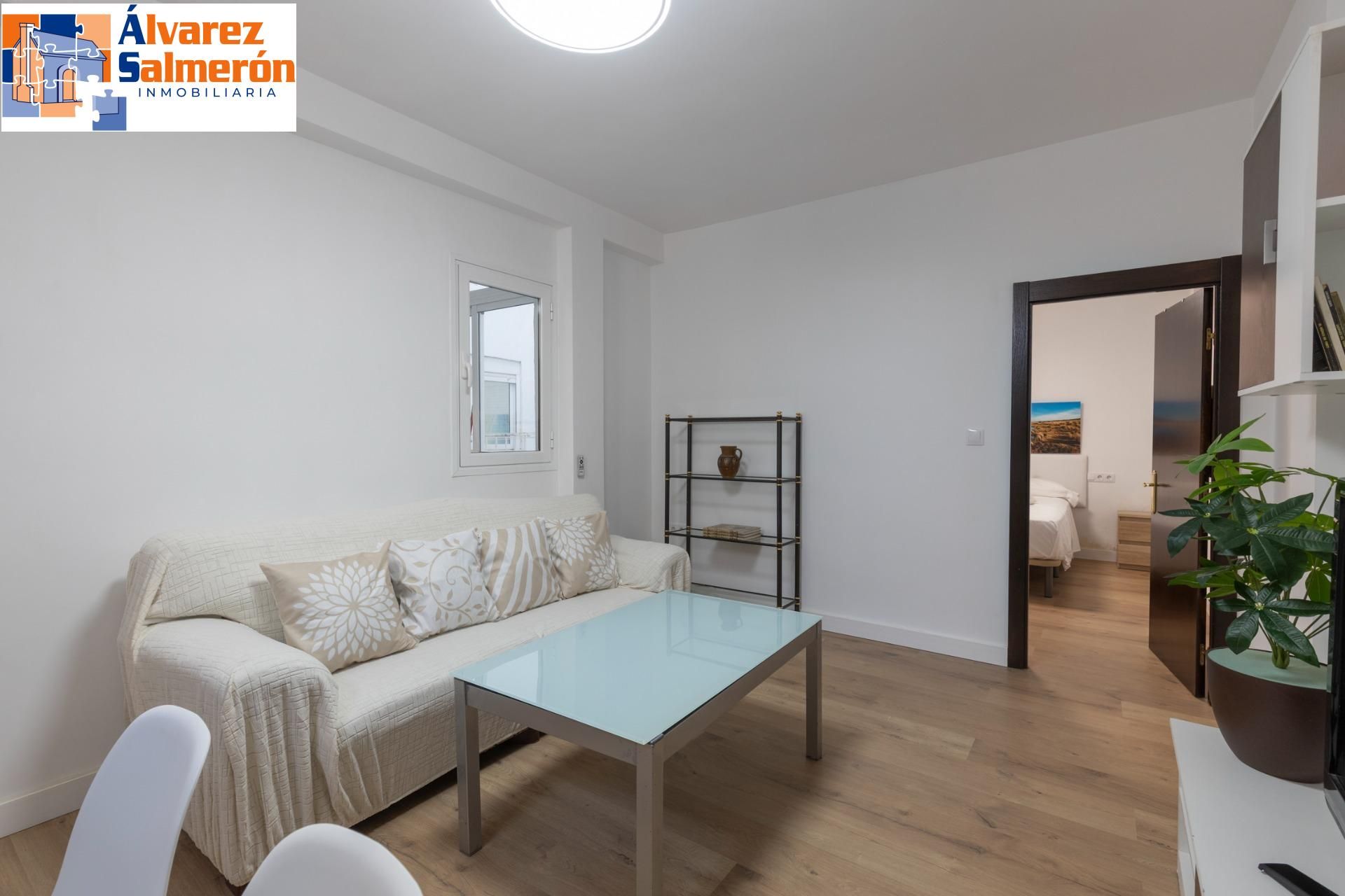 Living room of Flat for sale in  Granada Capital  with Furnished