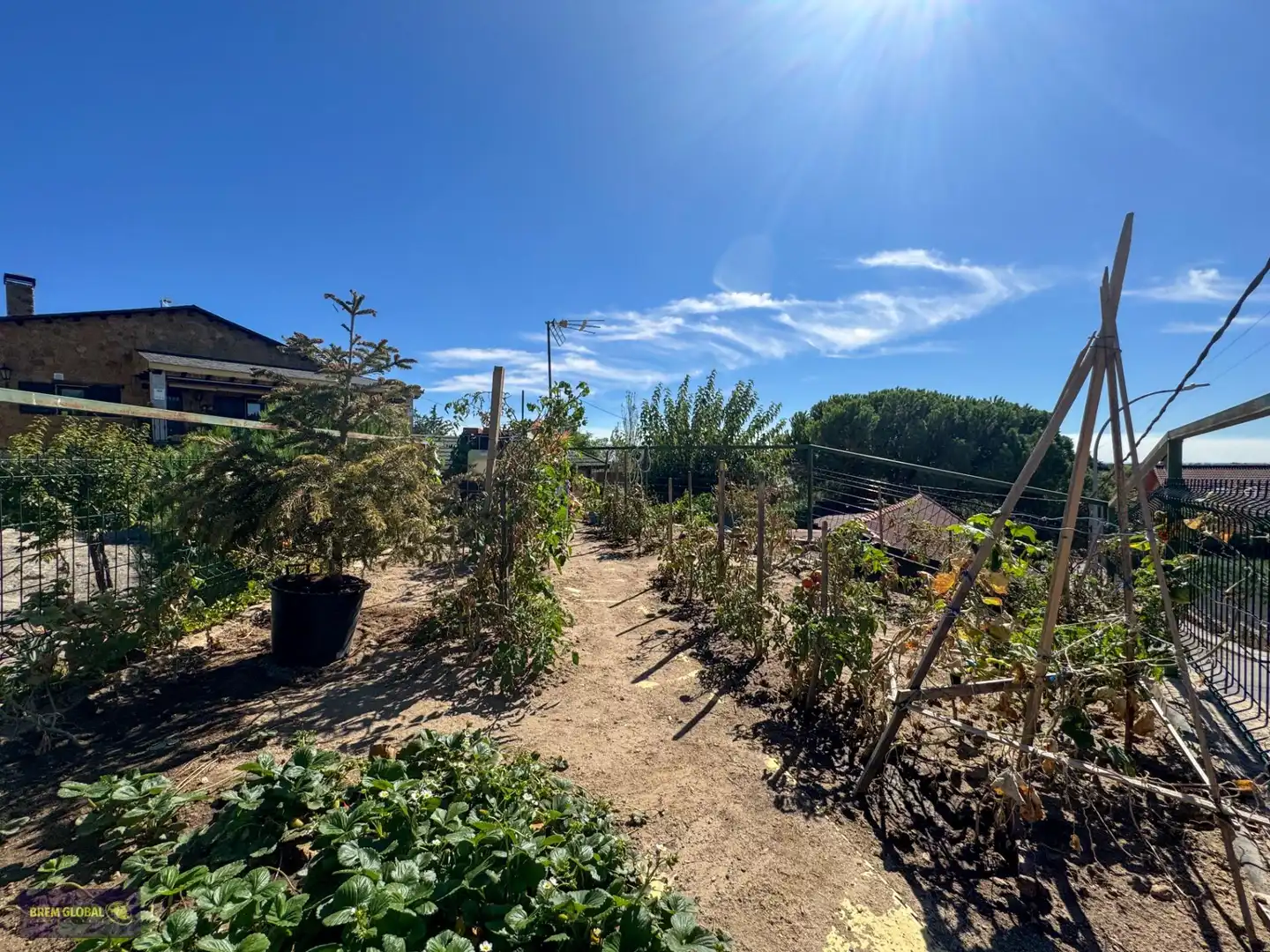 Jardí de Casa o xalet en venda en La Cabrera amb Terrassa, Traster i Moblat
