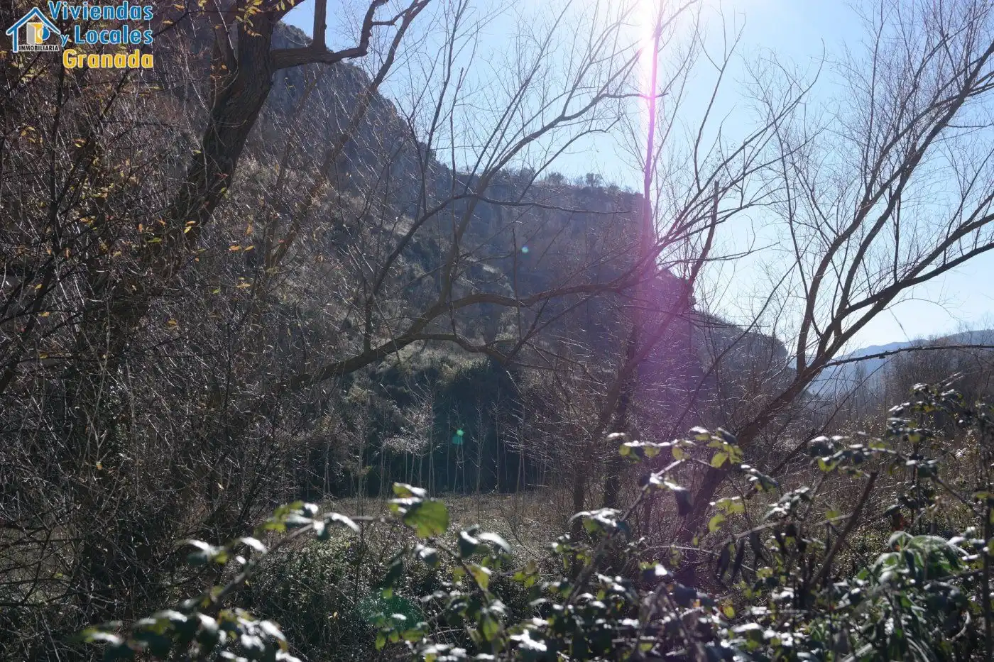Terreni e lotti in vendita a Alhama de Granada, imagen 35