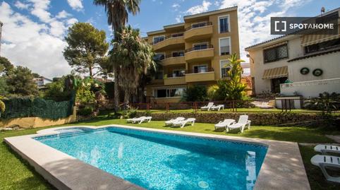 Photo 5 of Room in Foietes, Benidorm