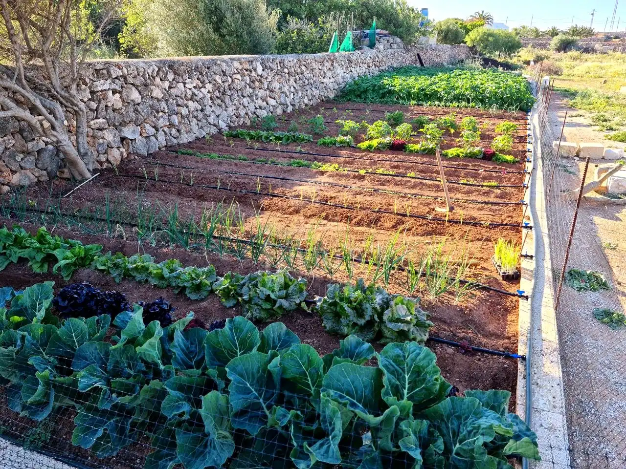 Lands and plots for sale in Ciutadella