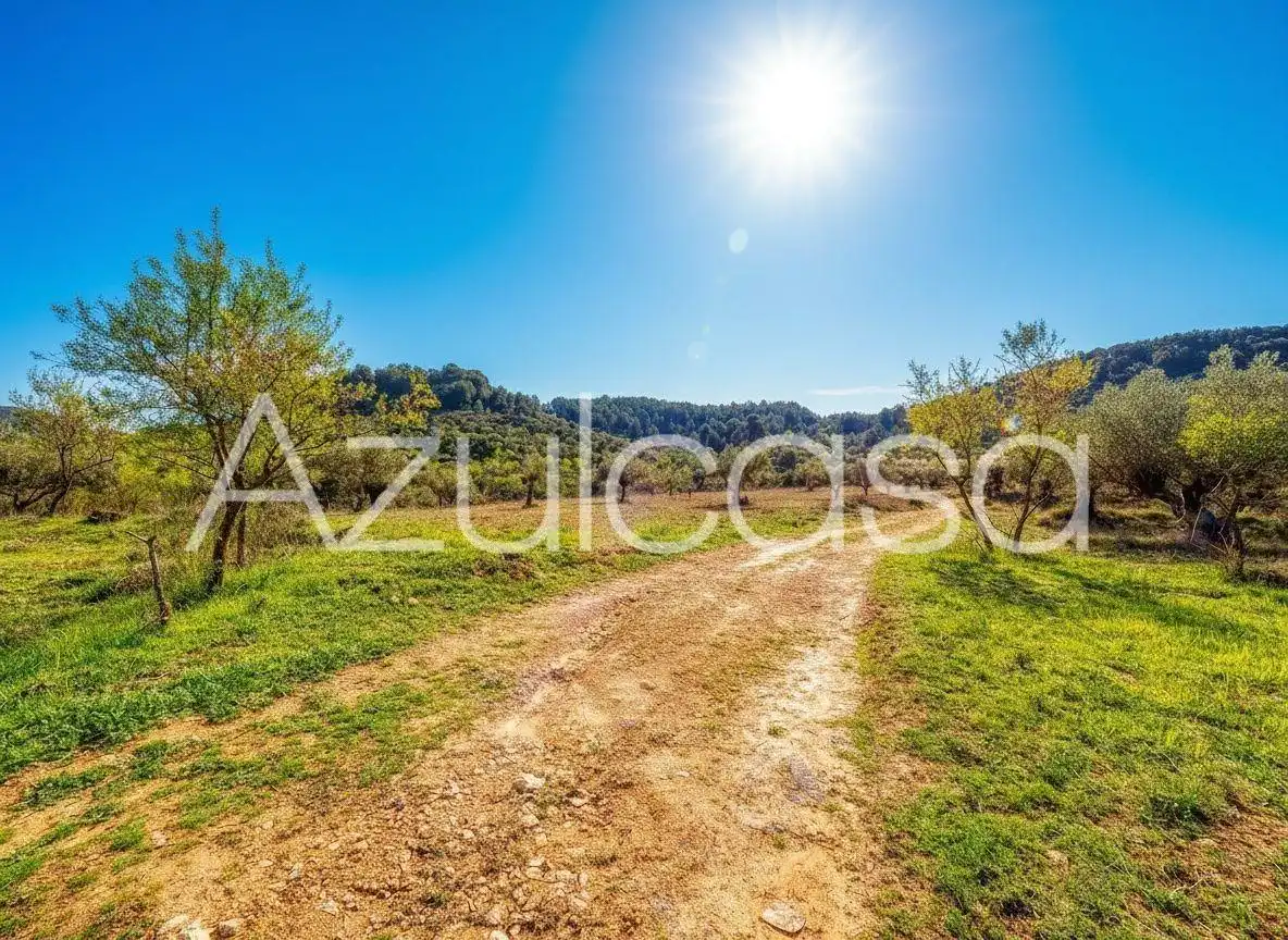 Country homes for sale in Banyeres de Mariola