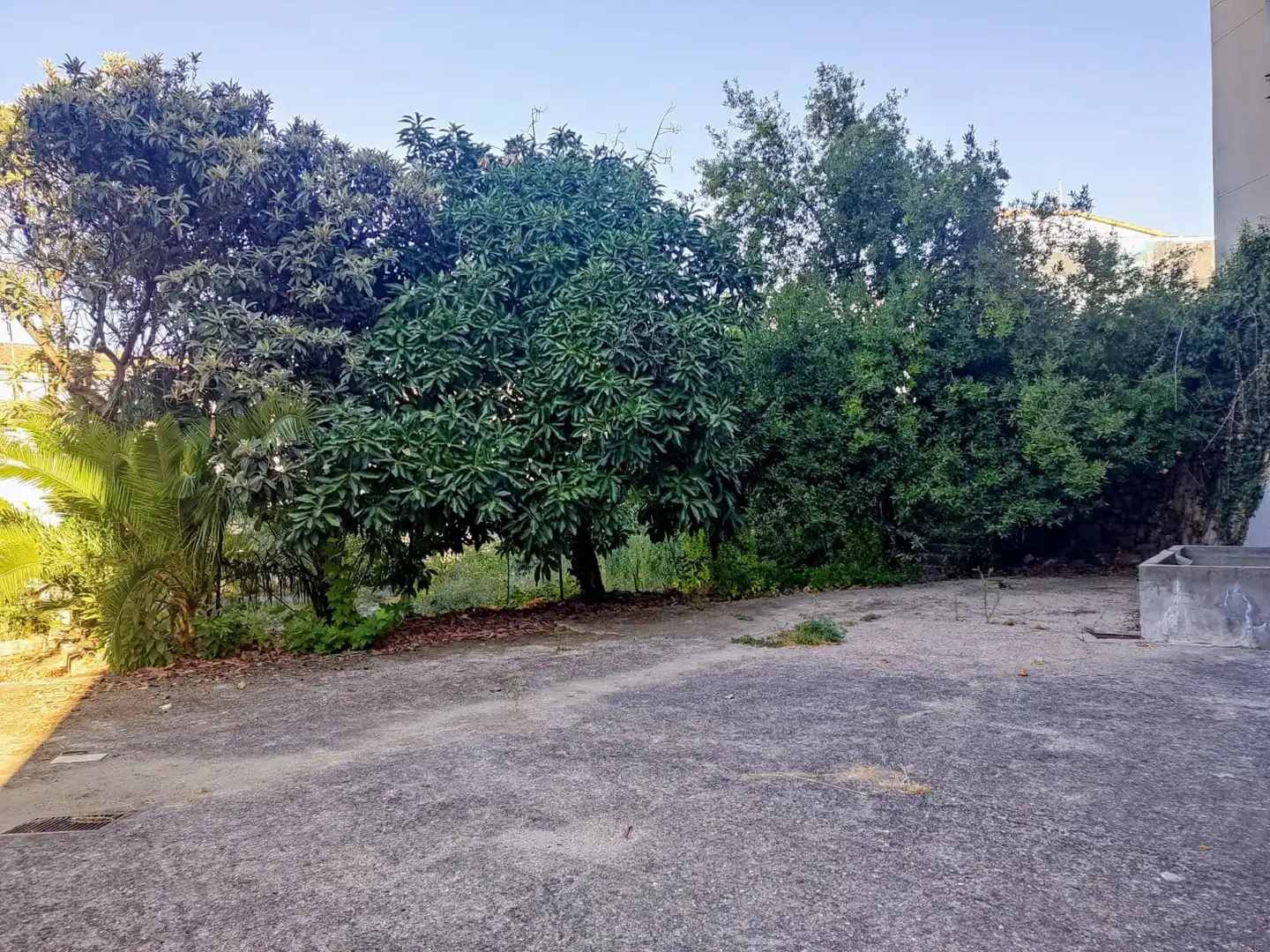 Casa o xalet en venda en Jarandilla de la Vera amb Jardí privat