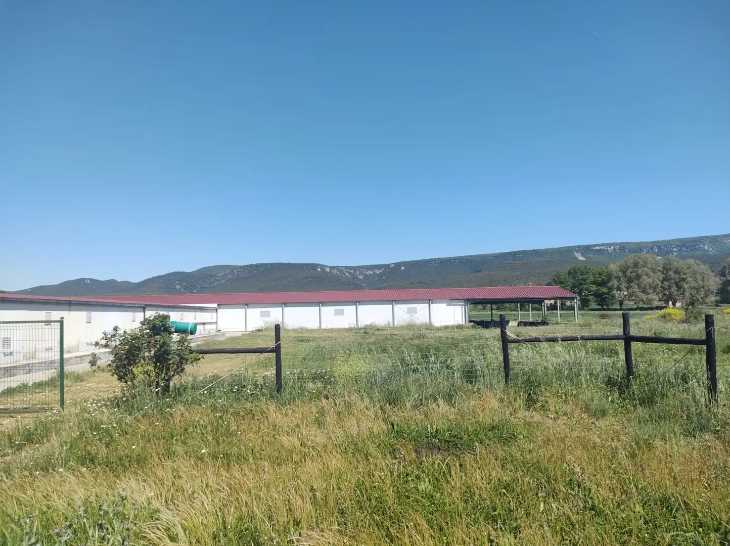 Exterior view of Industrial buildings for sale in Zúñiga