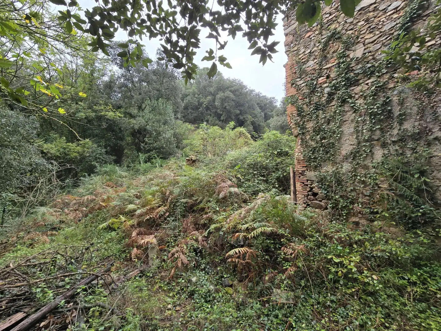 Country house zum Verkauf in Susqueda