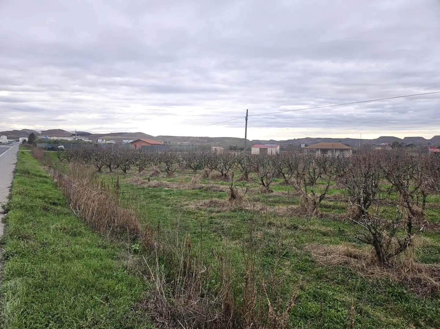 Terreno rustico in vendita a Lodosa - 42.414262, -2.087240, imagen 5