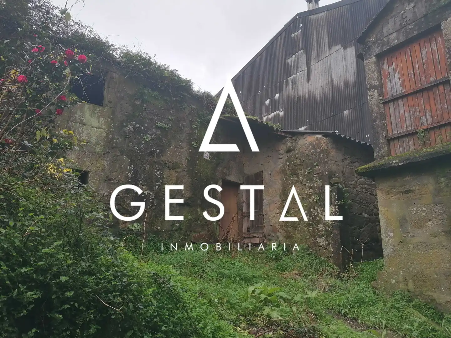 Vista exterior de Casa o chalet en venta en Padrón con Jardín privado y Trastero