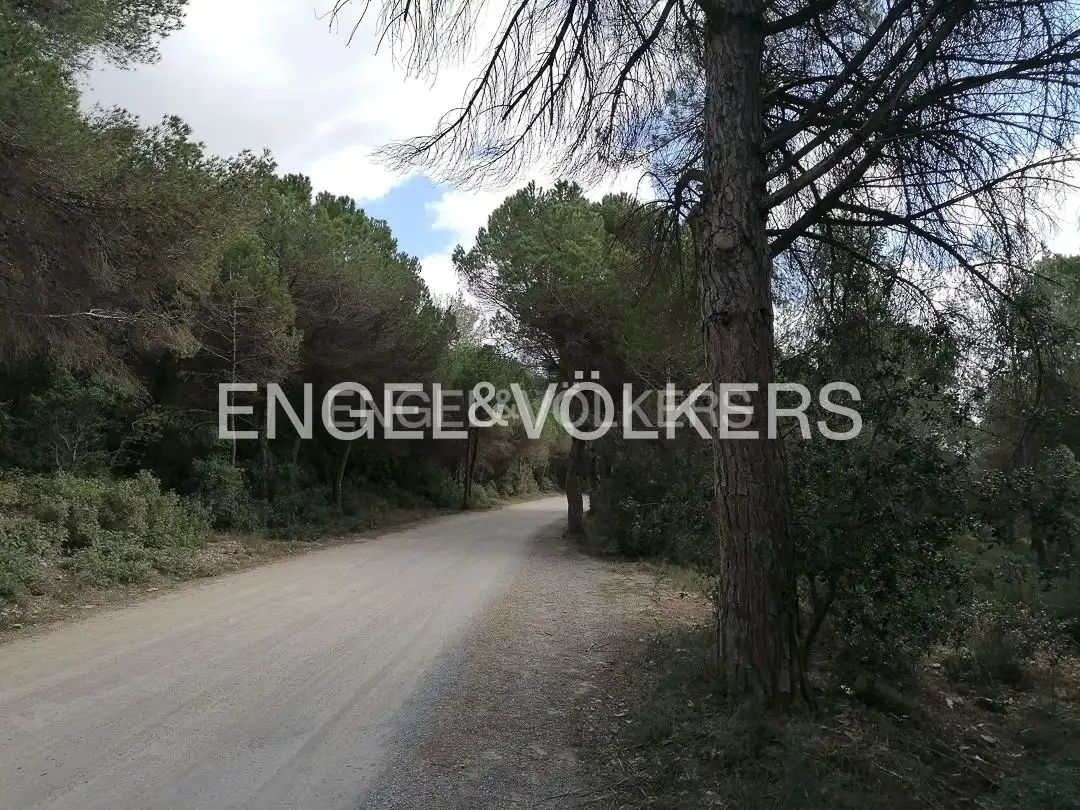 Terreny residencial en venda a Begues, imagen 6