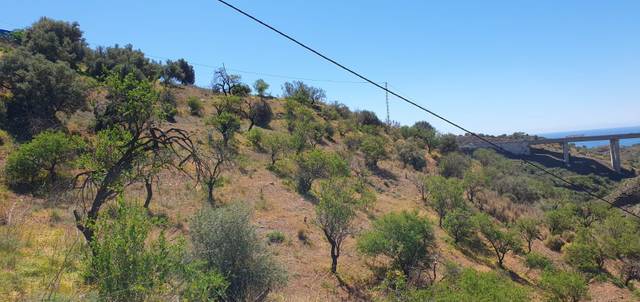 Terreno en Venta en LA POCARIA en Olías