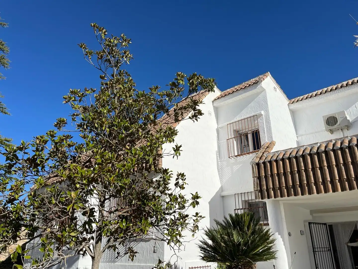 Hotel in vendita a Ayora, imagen 12
