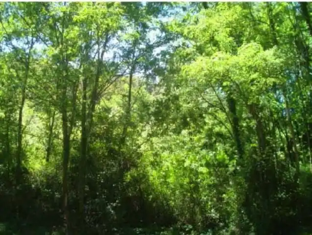 Residential land for sale in Berastegi, imagen 10