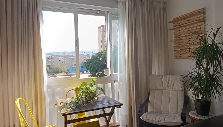 Photo 1 of Flat to rent in Calle Satsumas, Sta. Aurelia - Cantábrico - Atlàntico - La Romería, Sevilla