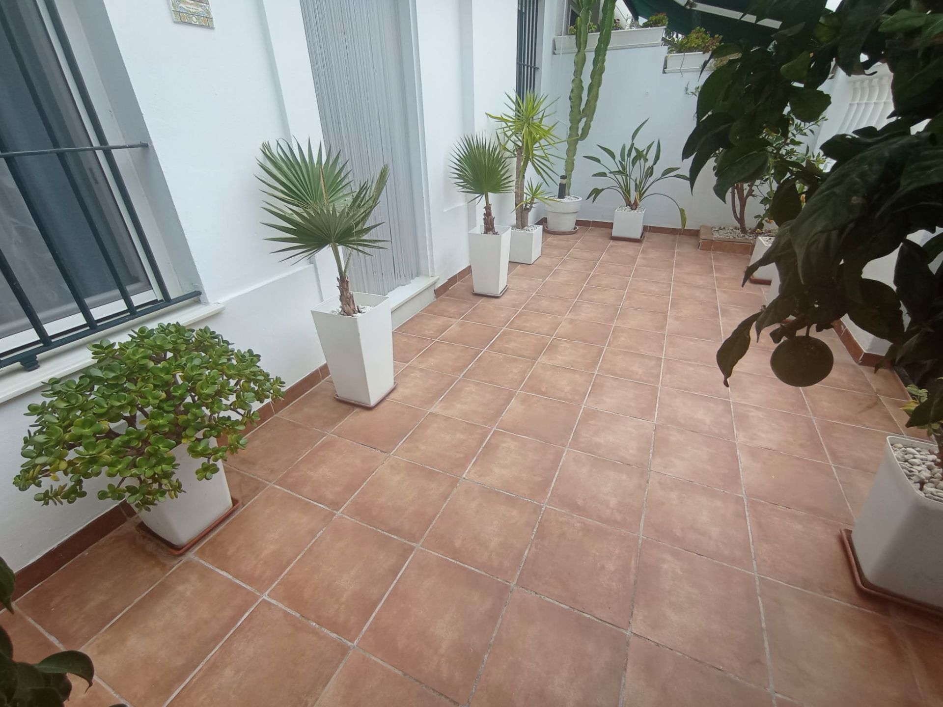 Terrace of Single-family semi-detached for sale in Chipiona  with Terrace, Furnished and Balcony