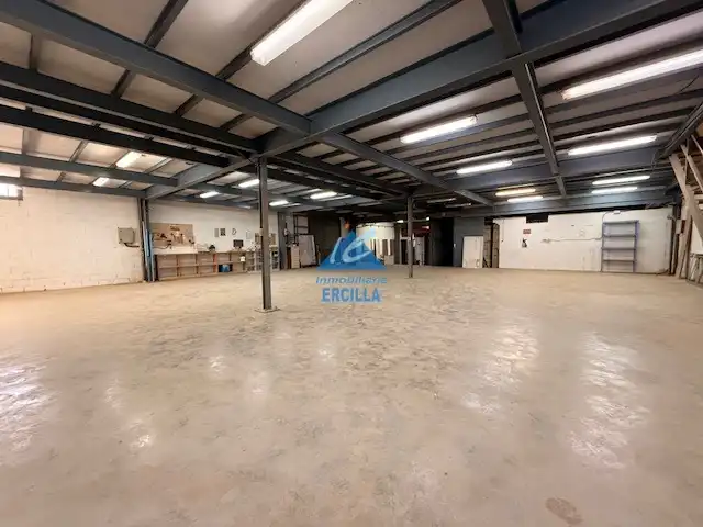 Nave industrielle à vendre à Etorbidea Txori Erri