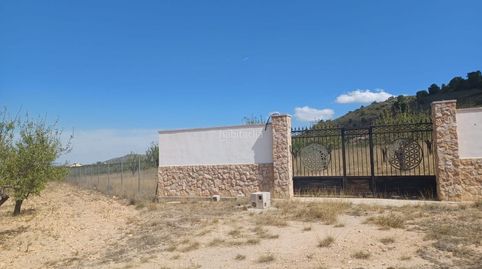 Terreno regadío para chalet en yecla, immagine 2
