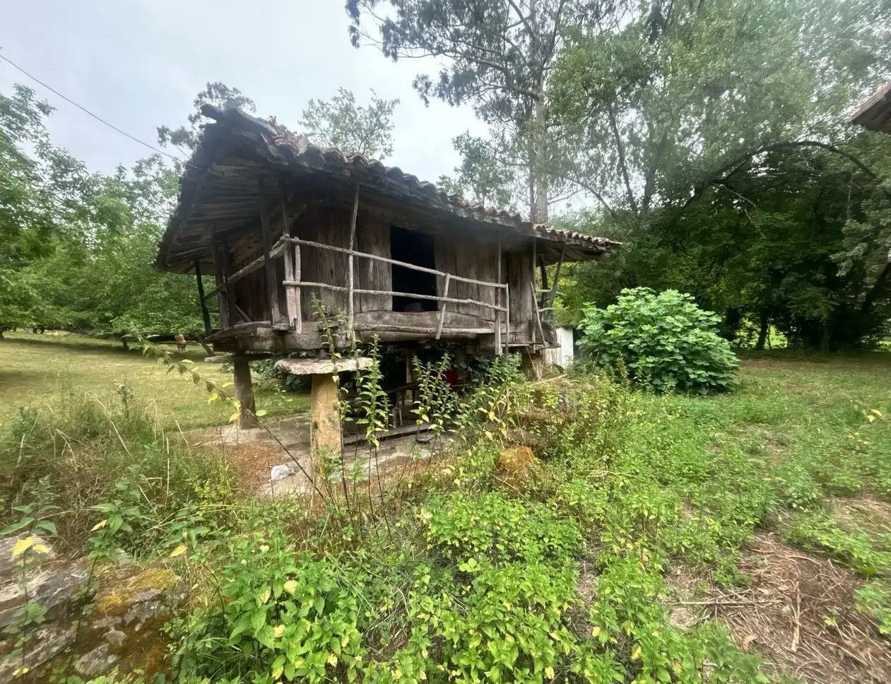 Vista exterior de Finca rústica en venda en Gijón  amb Jardí privat