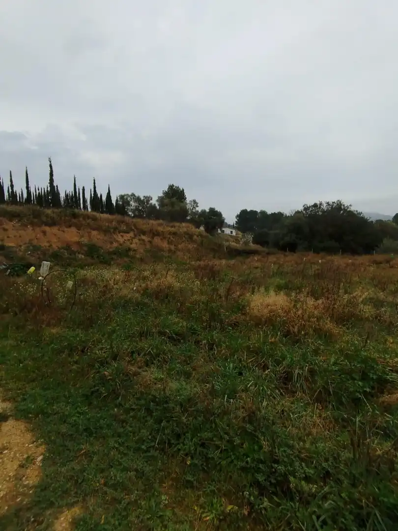 Rural land for sale in Ginestar, imagen 62