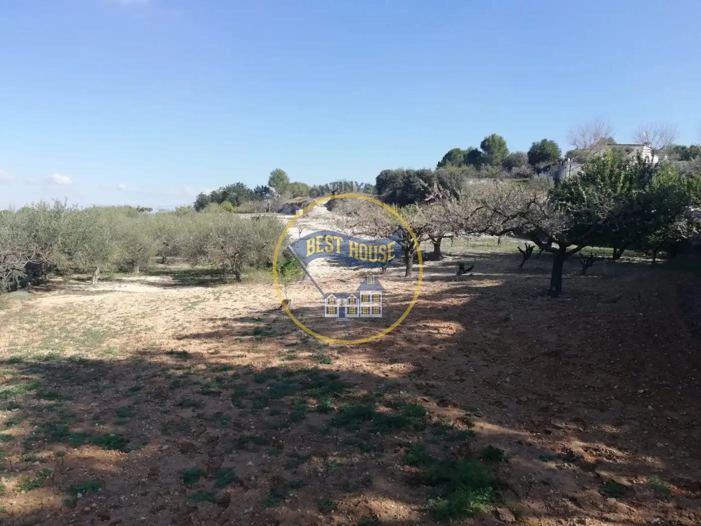 Terrain rustique à vendre à Sant Josep - Zona Hospital, imagen 5