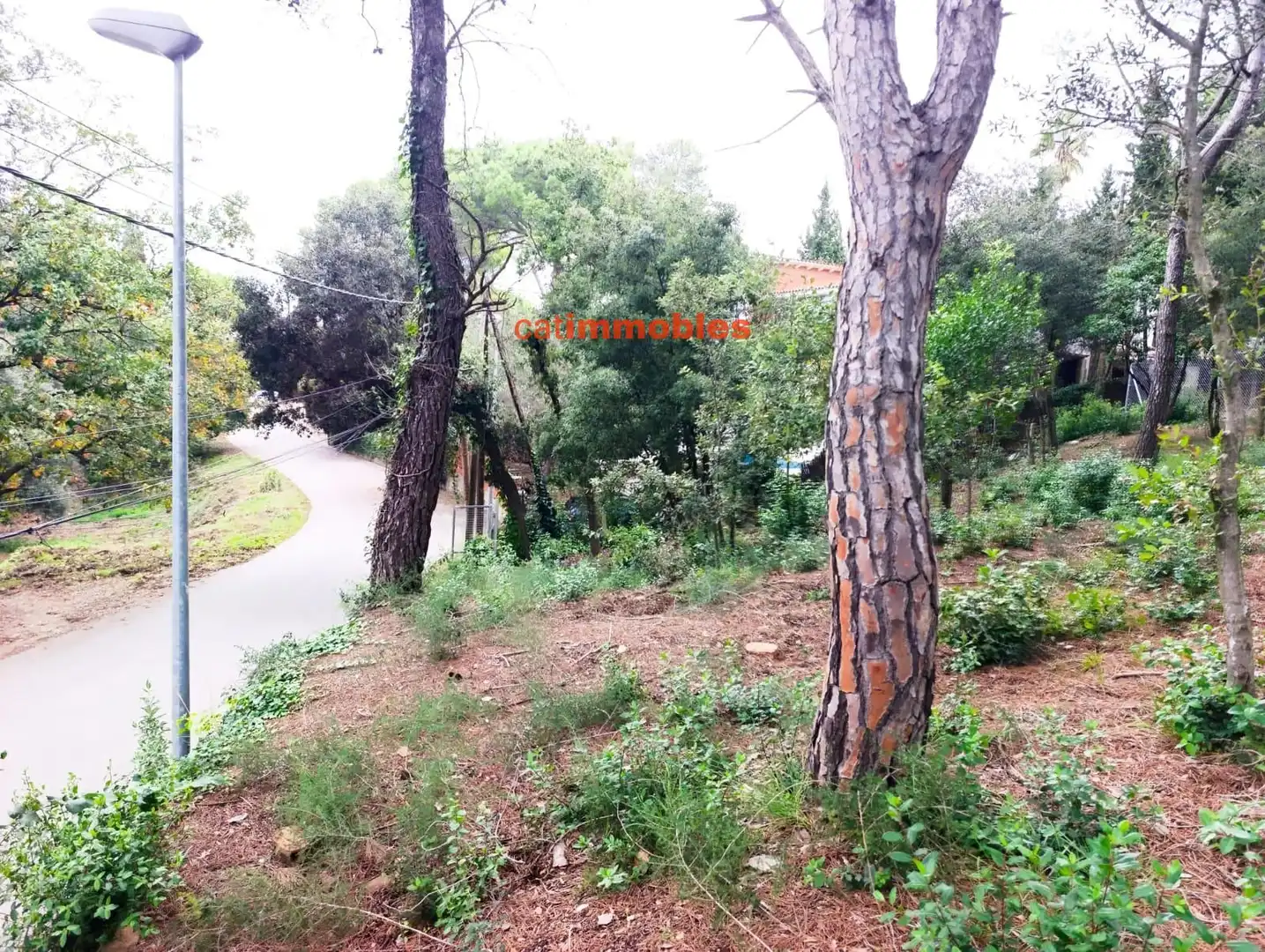 Terreny residencial en venda a Rosa Mariné, imagen 15