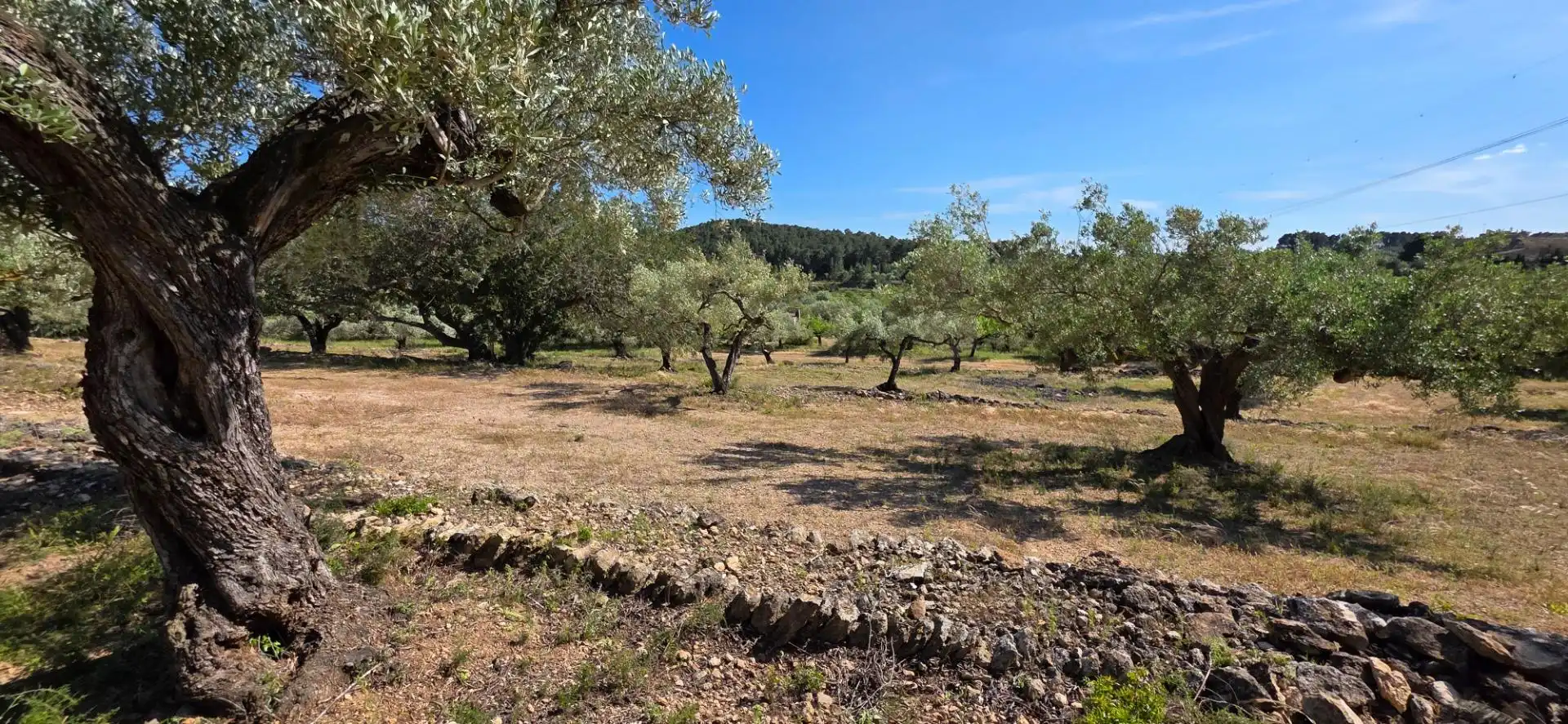 Maison rustique à vendre à Tivissa, imagen 41