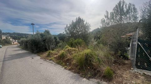 Foto 5 de Terreny industrial en venda a Calle Via Lactea, 184, Costa Cunit - Els Jardins - Els Rosers, Cunit