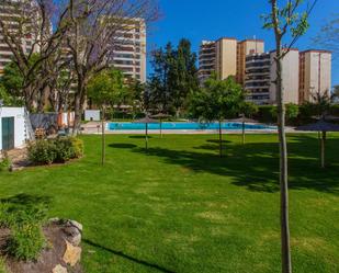 Swimming pool of Flat for sale in Jerez de la Frontera  with Private garden, Terrace and Balcony