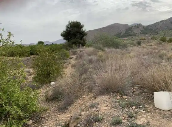 Terreno rustico in vendita a CV-868, imagen 5