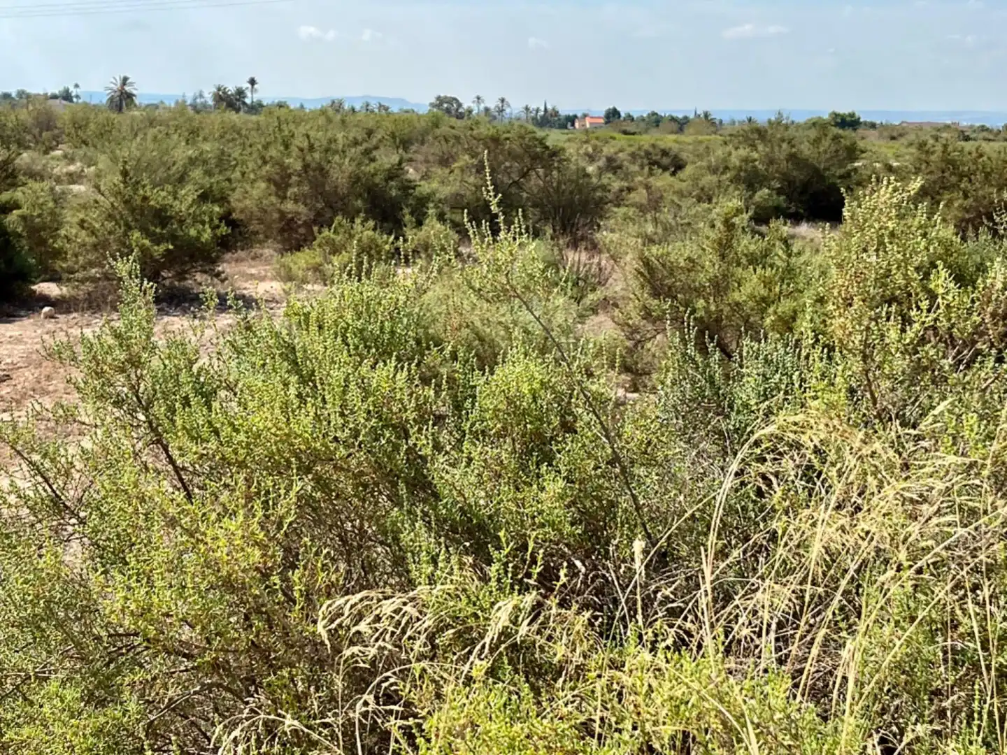 Residencial en venta en Elche de la Sierra