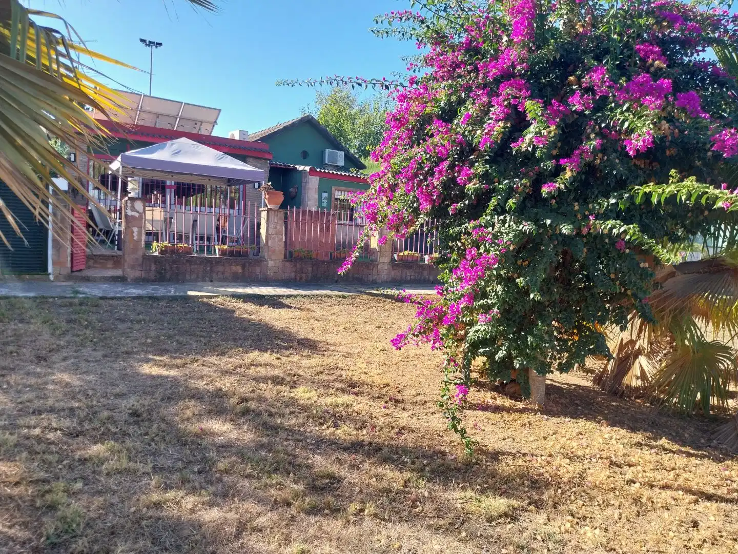 Jardí de Casa o xalet en venda en Montequinto amb Aire condicionat, Terrassa i Piscina
