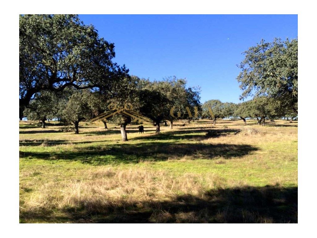 Casa o chalet en venta en Cáceres Capital