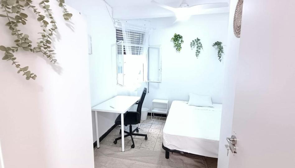 Photo 1 of Flat to share in N/a, Arenal - Museo, Sevilla