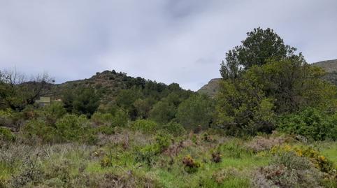 Foto 2 de Finca rústica en venta en La Vall d'Uixó, Castellón
