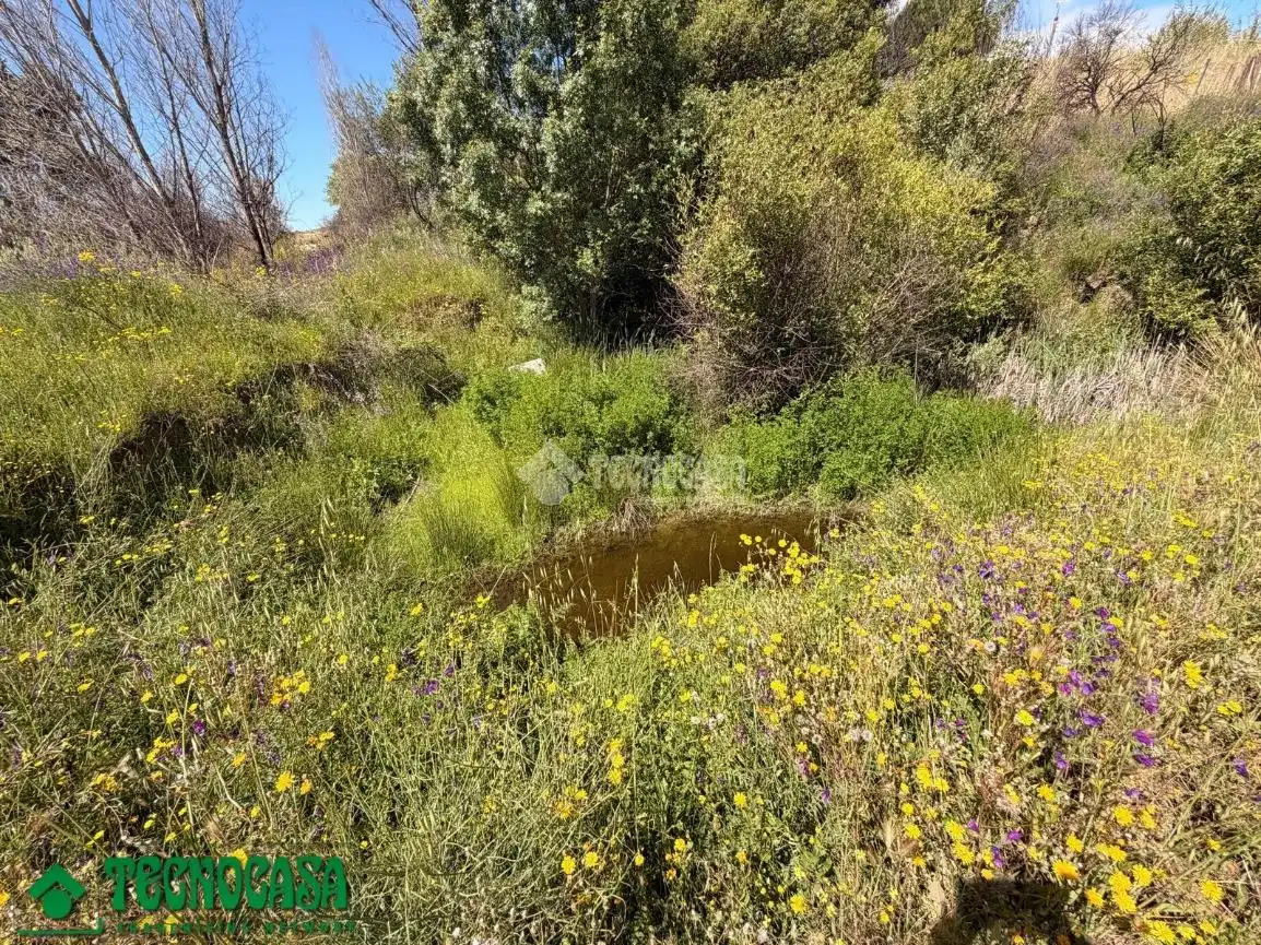 Land for sale in La Torre de Esteban Hambrán