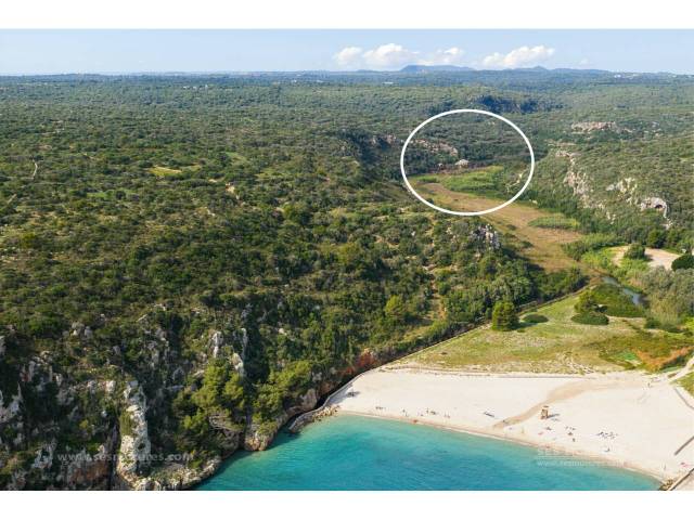 Finca rústica en Venta en Cala en Porter