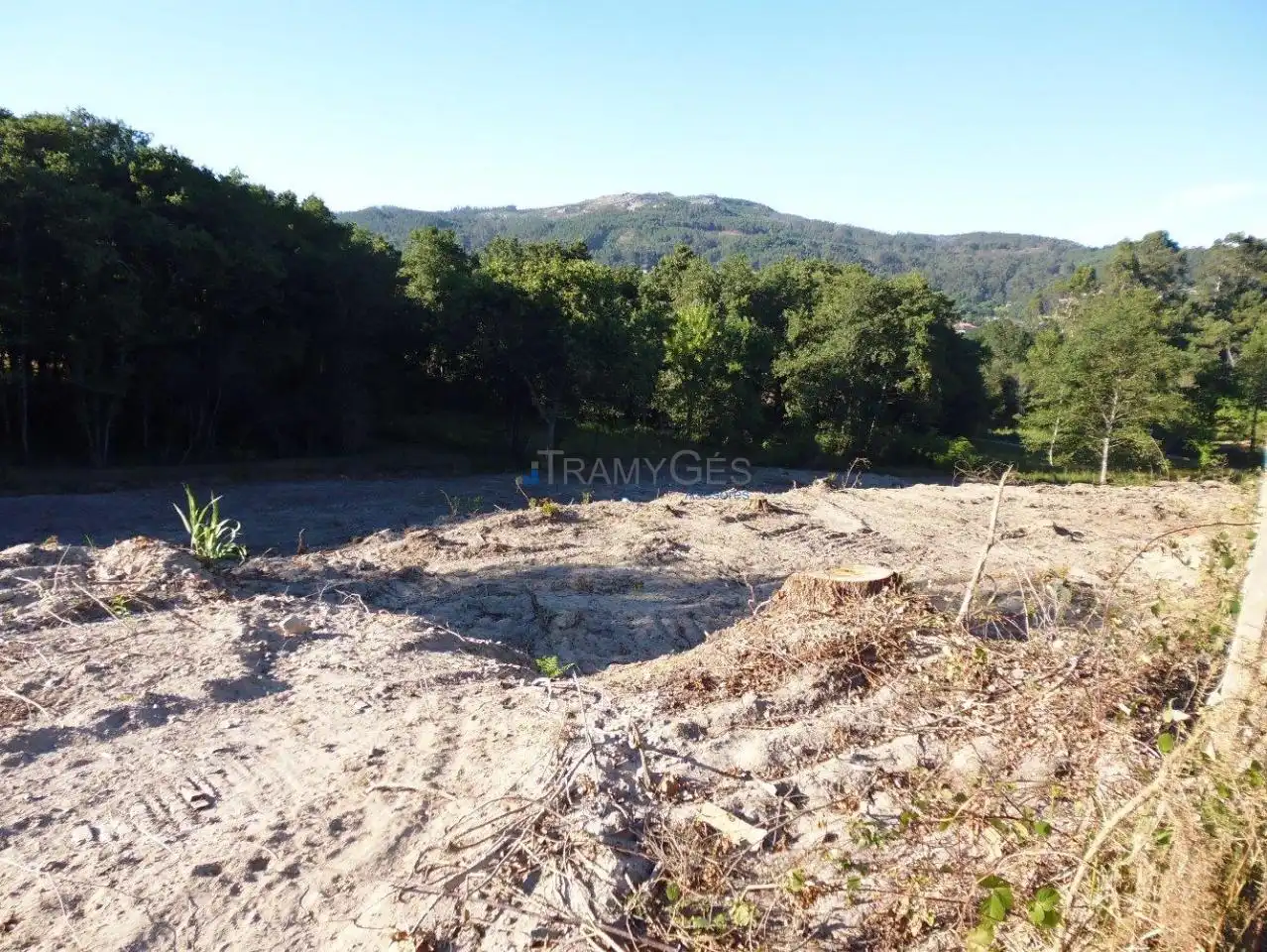 Rural land for sale in Tomiño, imagen 5