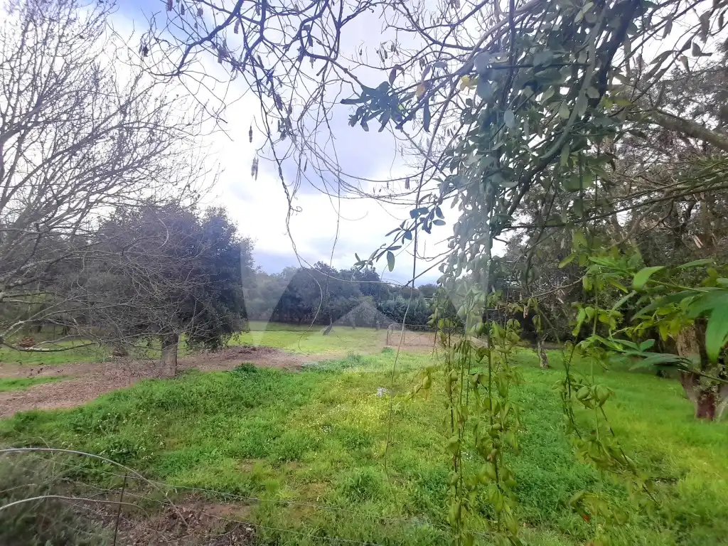 Casa o xalet en venda a Río Búrdalo, Avenida Elvas