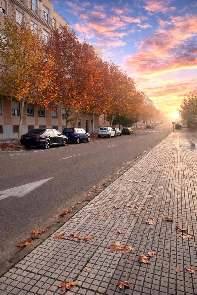 Vista exterior de Planta baja en venta en Badajoz Capital