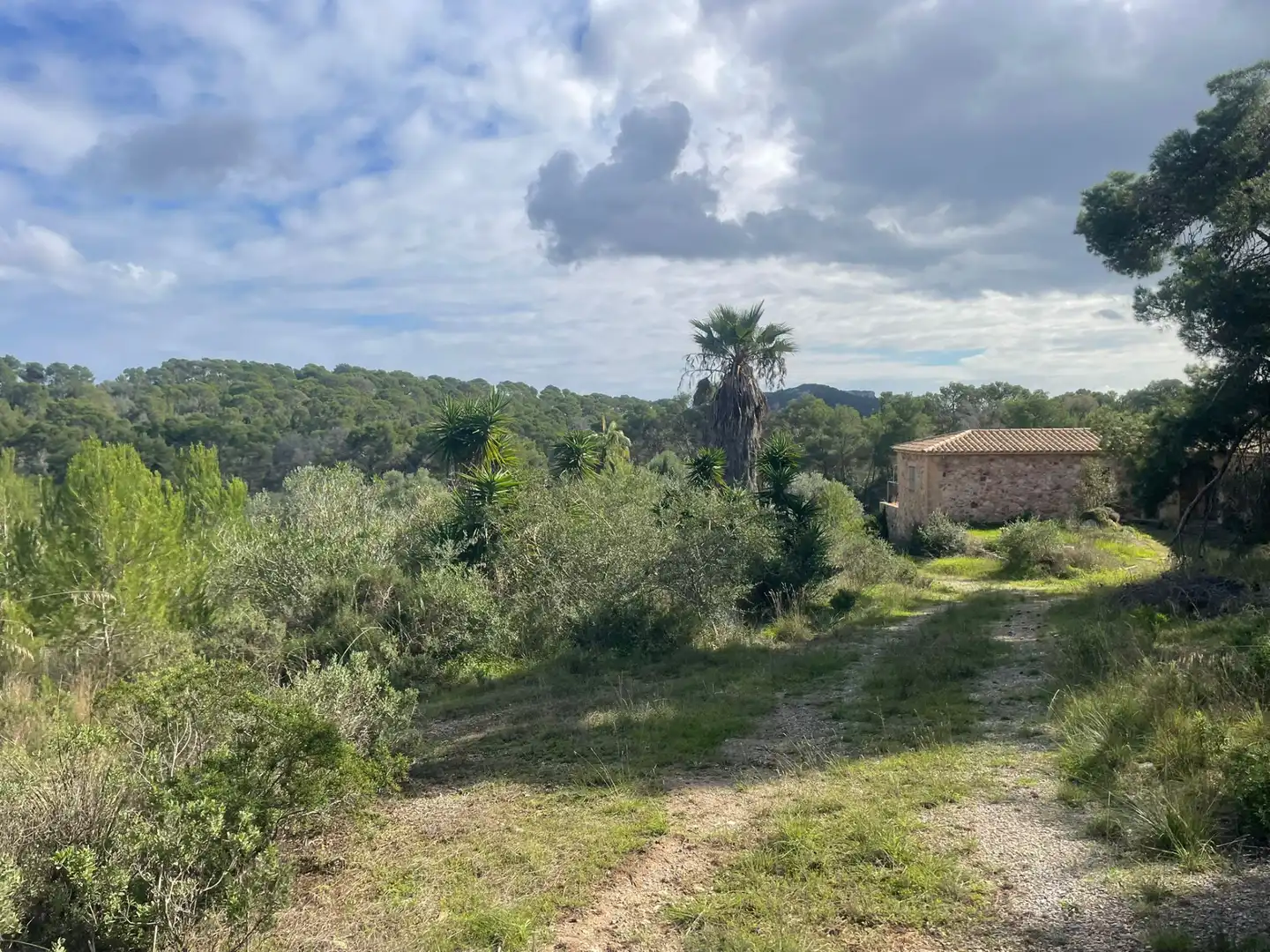 Casa amb jardí en venda a Manacor Centre, imagen 26