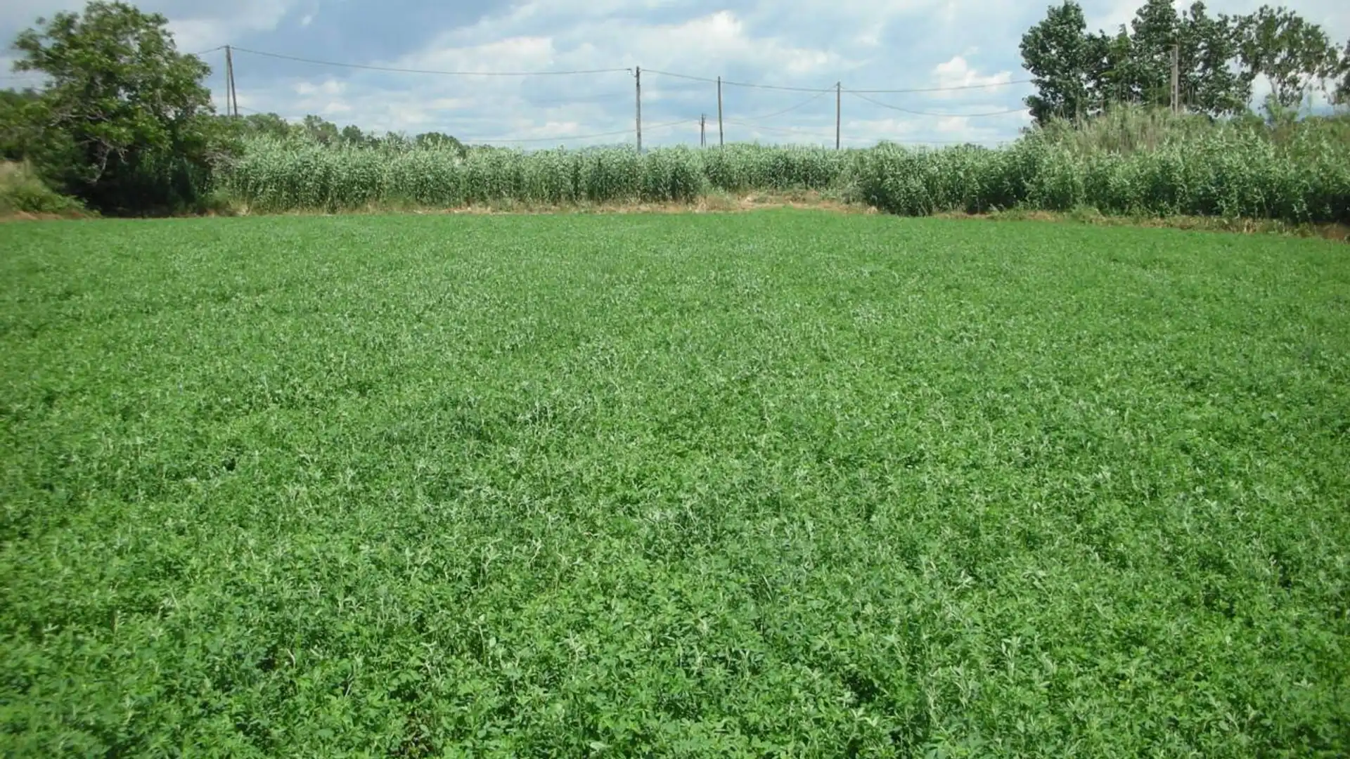 Terreno en venta en Vilanova del Vallès