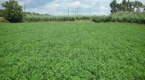 Terreno rústico NO EDIFICABLE sólo para uso exclusivamente agrícola