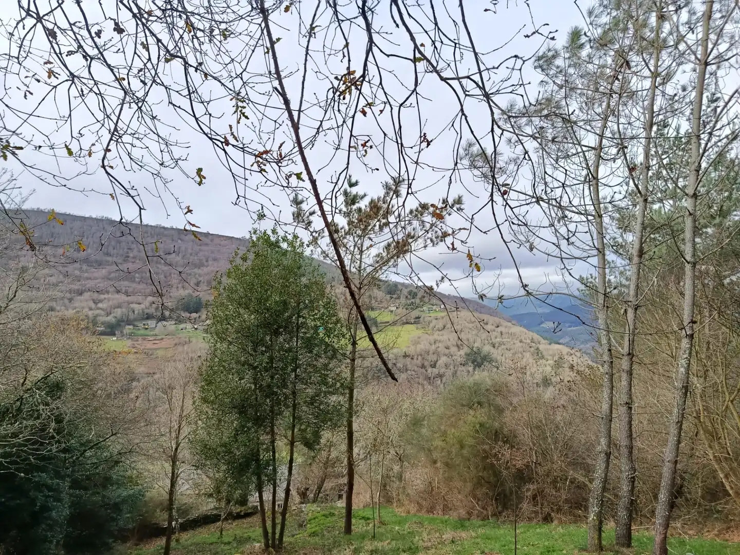 Finca rústica en venda en A Pontenova   amb Jardí privat, Terrassa i Balcó