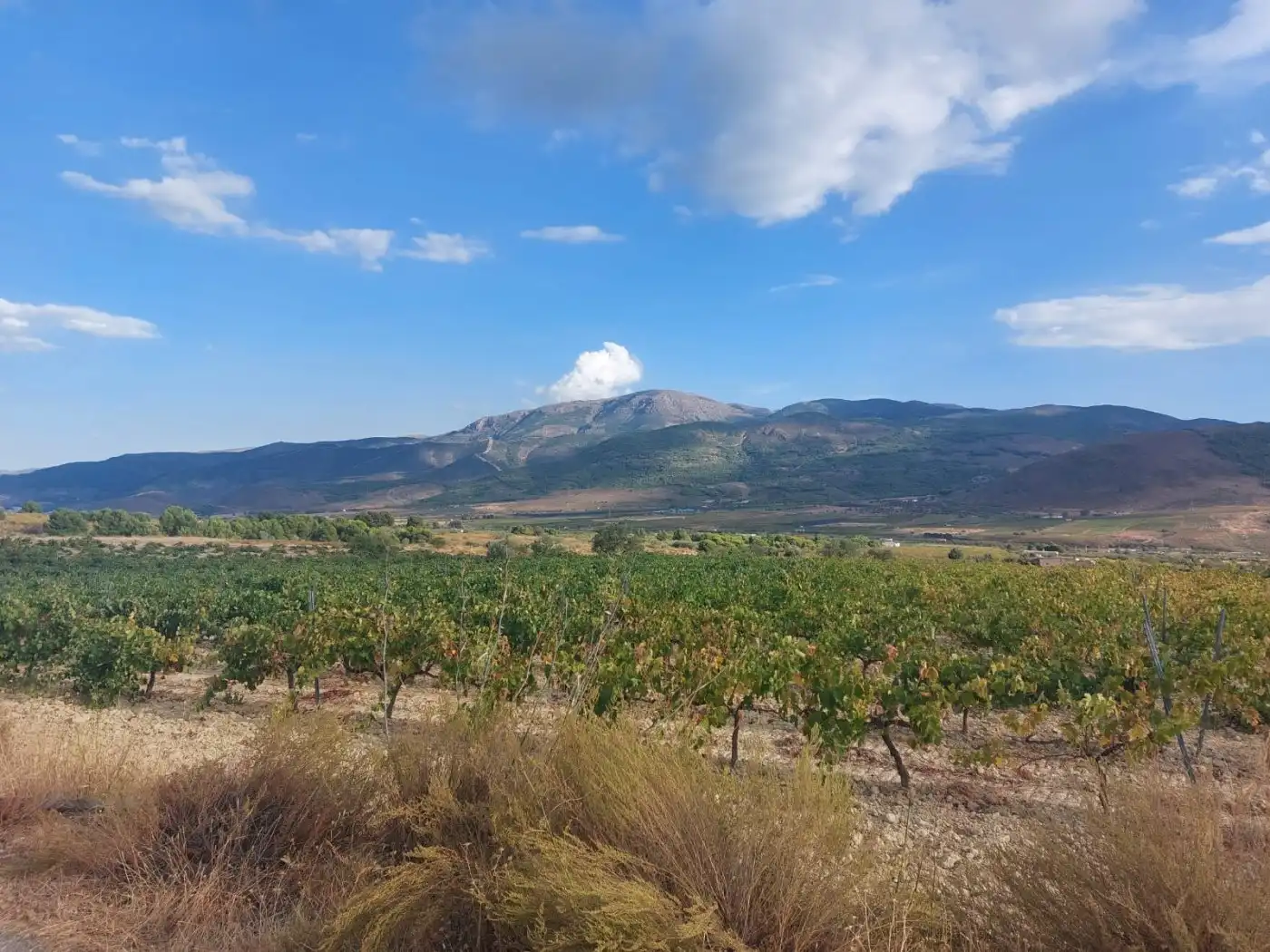 Casa rústica en venda a Laujar de Andarax, imagen 11