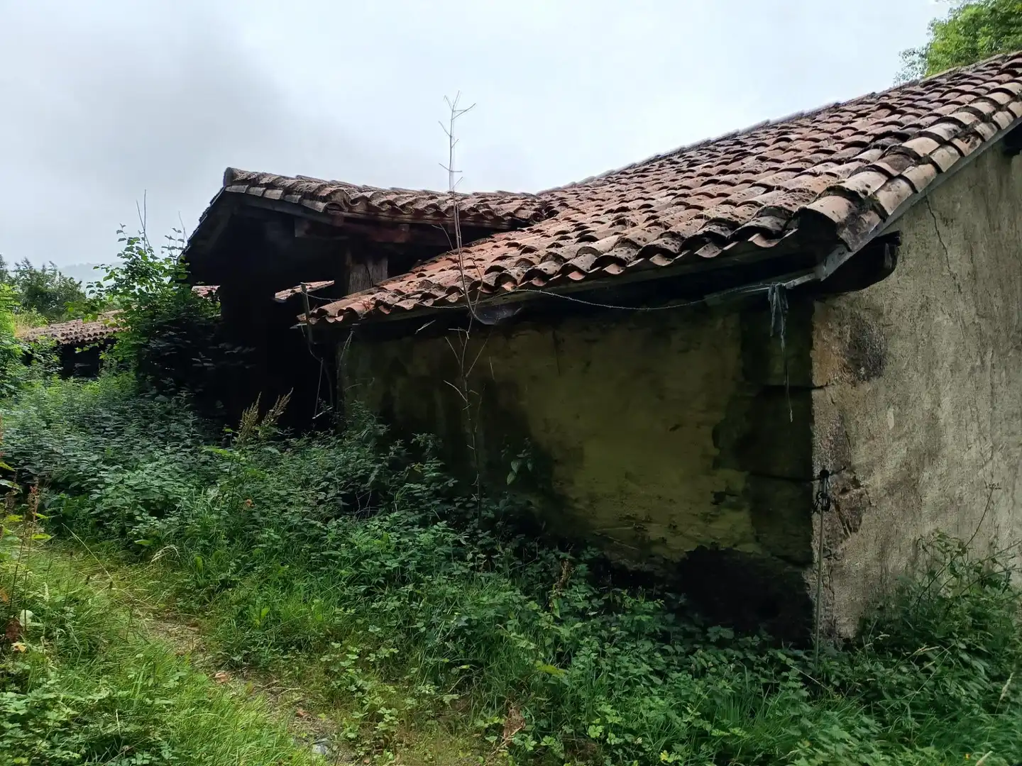 Exterior view of Land for sale in Basaburua