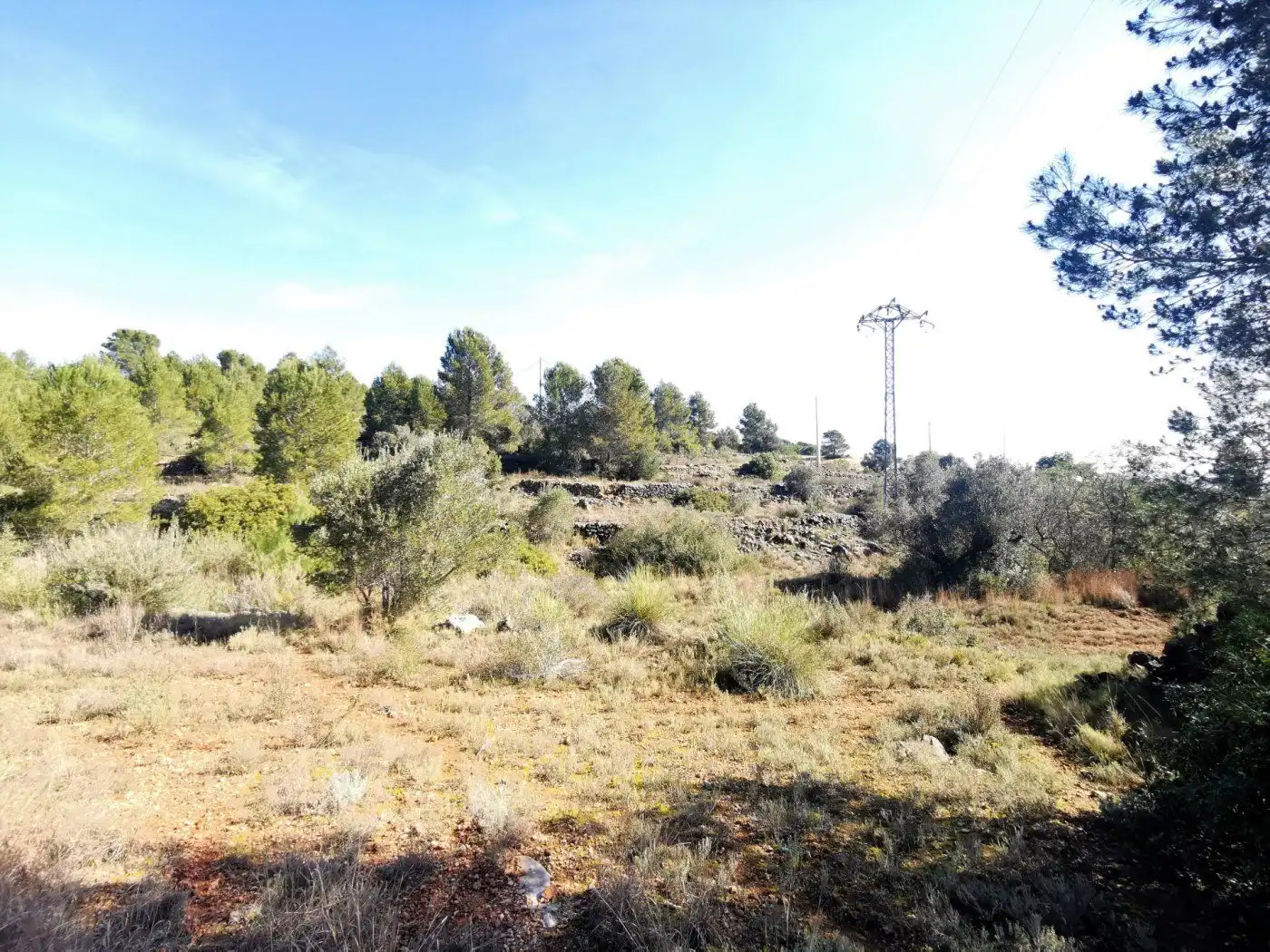 Finca rústica en venda en Chella