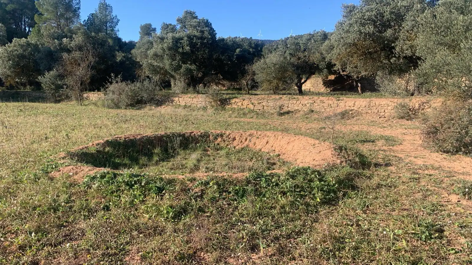 Terreno rustico in vendita a Ascó, imagen 6