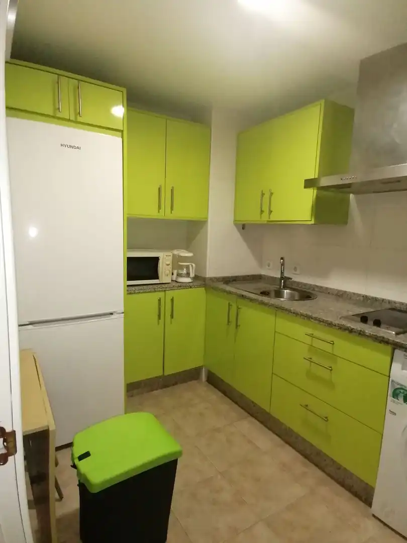 Flat for rent in Casco Antiguo