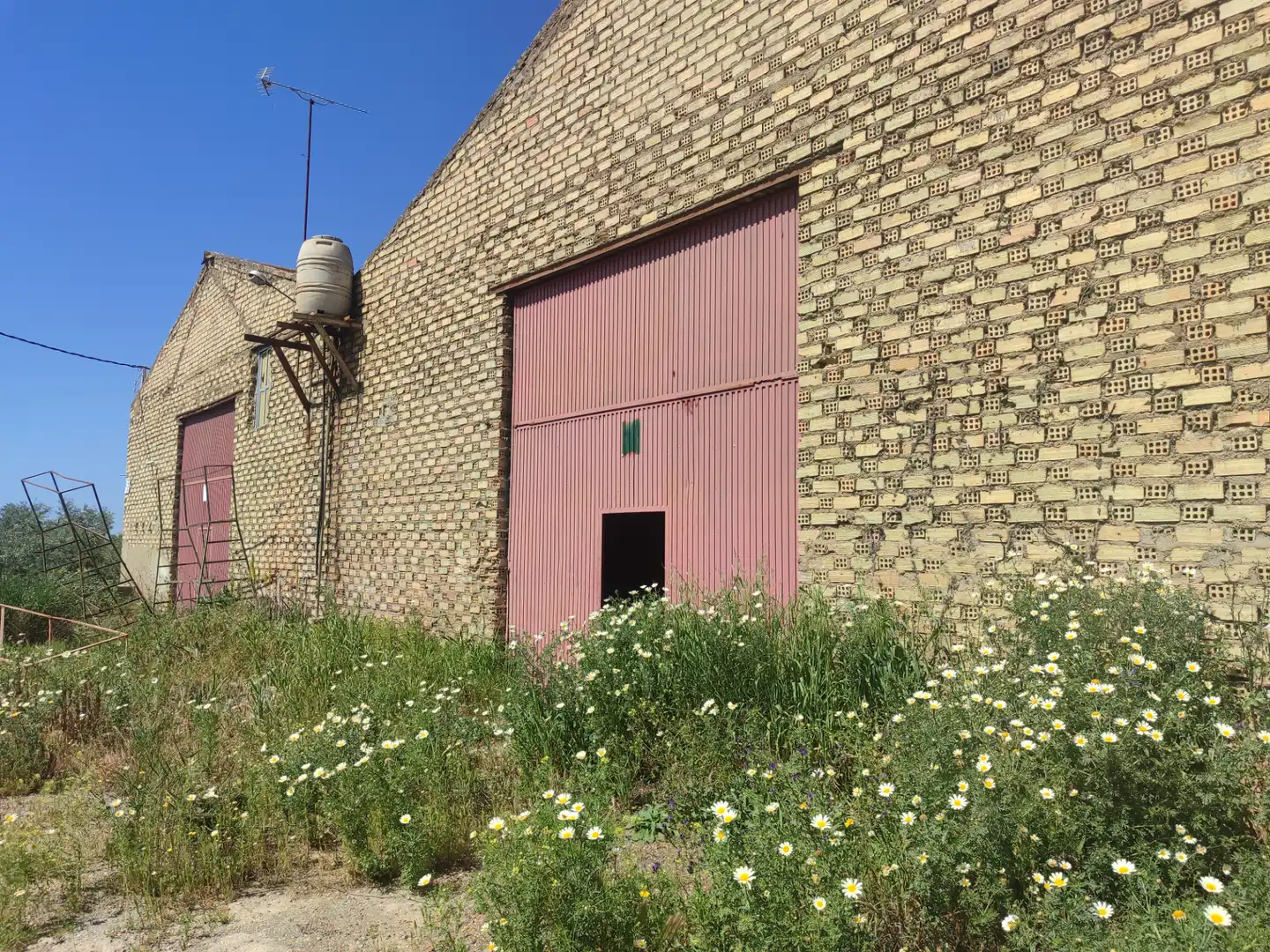 Vista exterior de Nave industrial en venta en Utrera