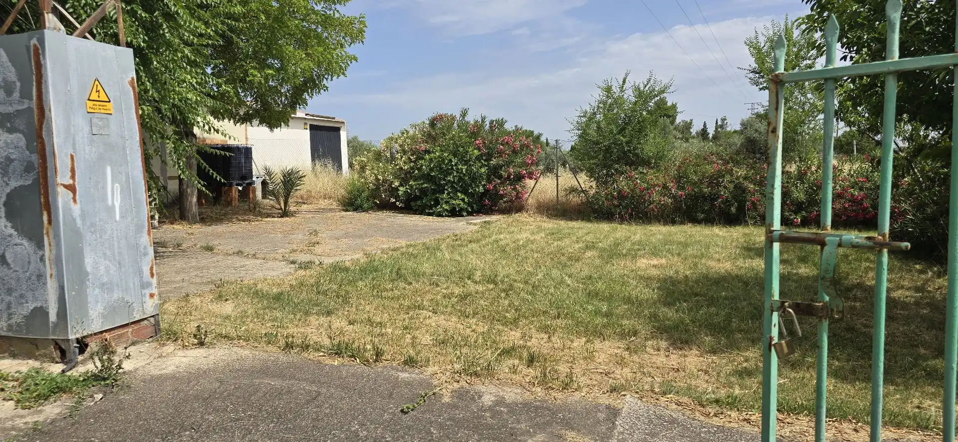 Terreno rustico in vendita a Argamasilla de Calatrava, imagen 2
