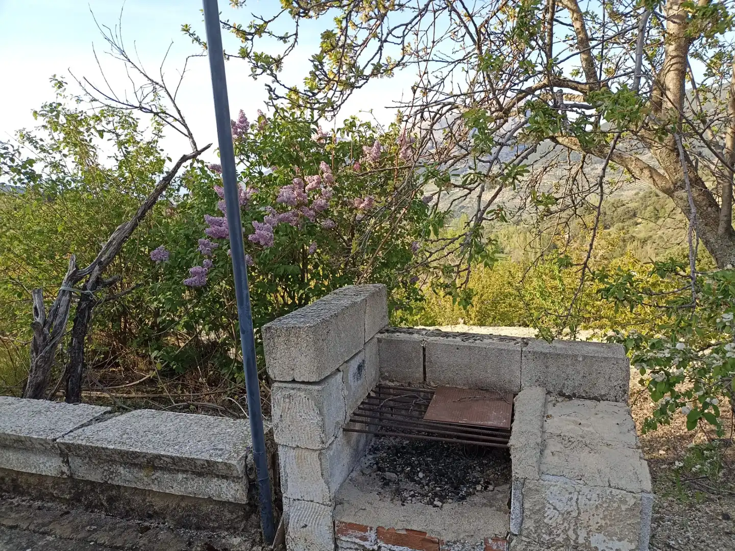Garden of Land for sale in Torres