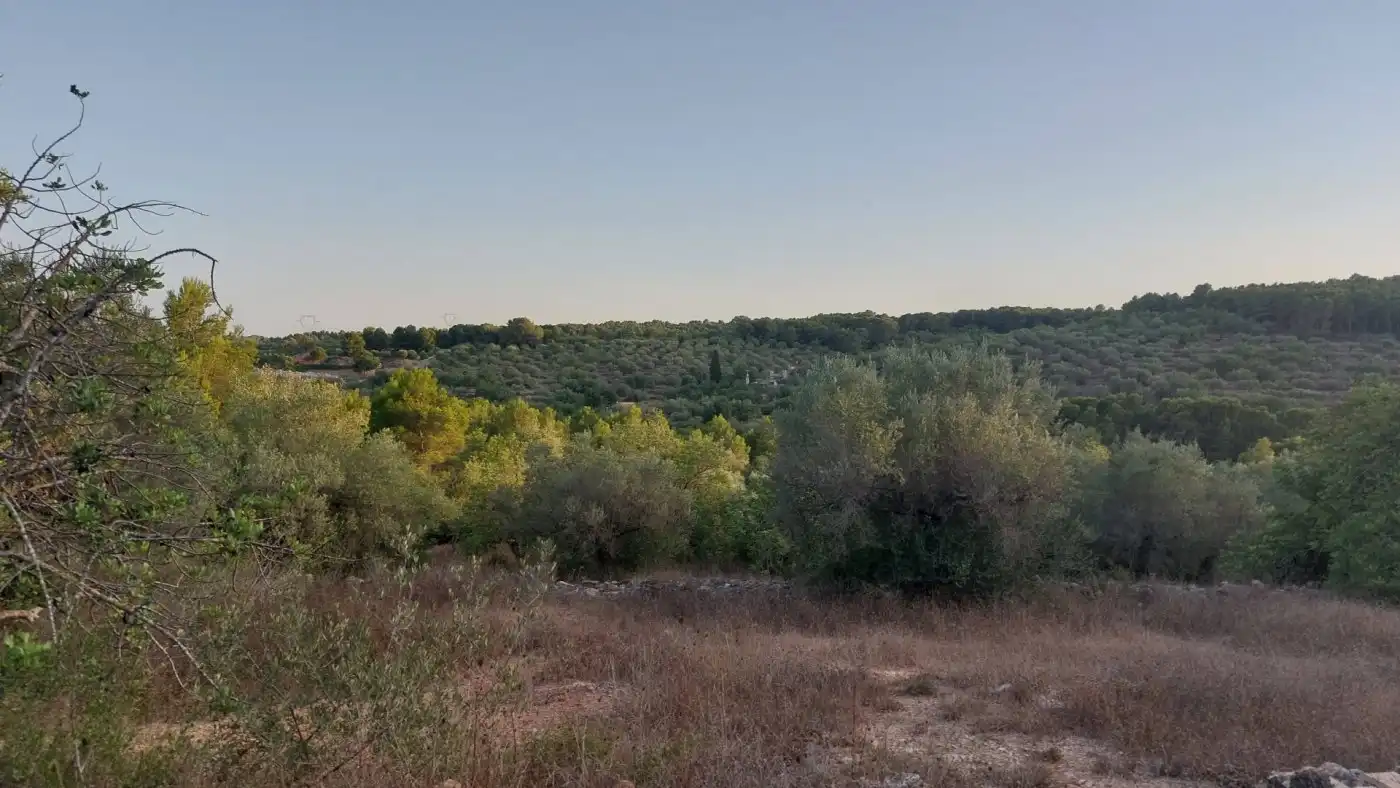 Terreno rustico in vendita a El Perelló